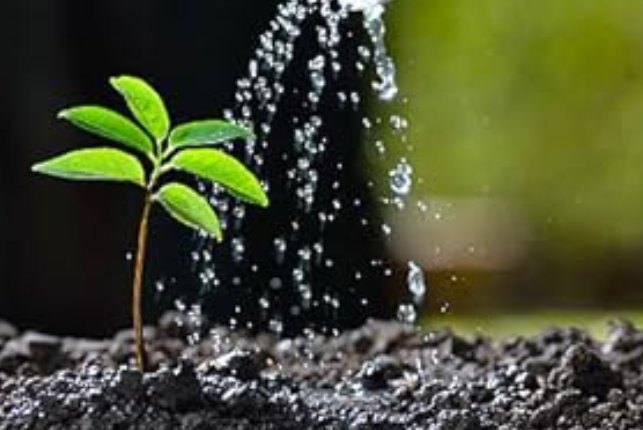 Grocery Ecommerce Template